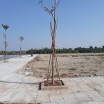 Bất động sản tại thị trường từng đóng băng vì Covid-19, giờ ra sao?