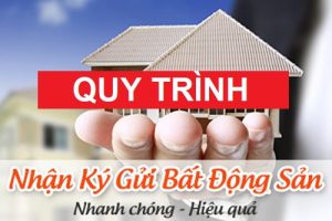 Ky Gui Nha Dat Thien Khôi (1)