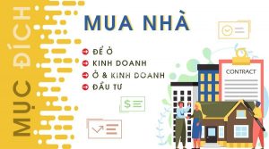 Mục Đích Mua Nhà, Mua Bất Động Sản