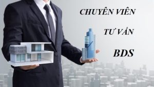 Nhân Viên Tư Vấn Bất Động Sản