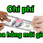 Phần Trăm Hoa Hồng Môi Giới Nhà Đất: Cách Tính Và Yếu Tố Ảnh Hưởng
