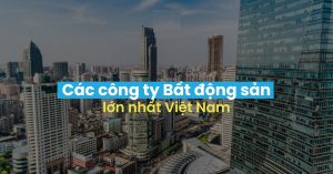 Sơ Đồ Tổ Chức Công Ty Bất Động Sản