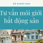 Tư Vấn BĐS: Lựa Chọn Đúng Đắn Cho Các Nhà Đầu Tư
