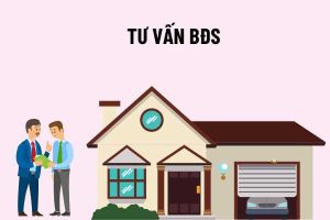 Tư Vấn Bất Động Sản