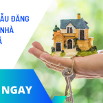 Đăng tin mua bán đất: Hướng dẫn chi tiết và những lưu ý quan trọng