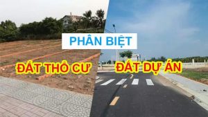 Môi Giới BĐs