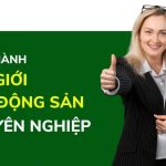 Môi giới bất động sản chuyên nghiệp: Vai trò, Kỹ năng và Cơ hội