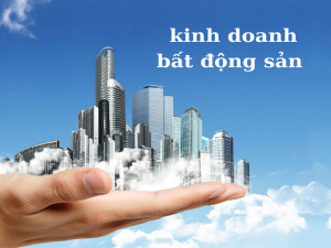 Kinh Doanh Bất Động Sản