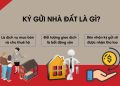 Ký Gửi Bán Đất