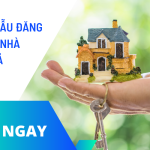Những Bài Đăng Bán Đất Dự Án: Cần Lưu Ý Những Điều Gì?
