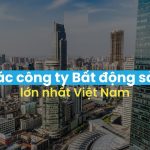 Những Công Ty Bất Động Sản: Vai Trò, Mô Hình, Lợi Ích