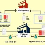 Quy Trình Bán Nhà Đất: Các Bước Cần Thiết và Lưu Ý Quan Trọng