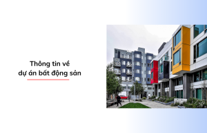 Thông Tin Dự Án Bất Động Sản