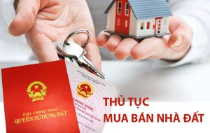 Thu Mua Nhà Đất