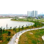 Mua Bán Đất Hà Nội: Quy Trình, Lợi Ích Và Rủi Ro