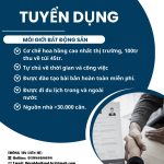 Tuyển Dụng Môi Giới Bất Động Sản Thổ Cư: Các Yêu Cầu Cần Thiết
