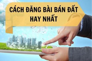 Bài Đăng Bán Đất Hay