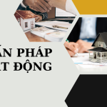 Tư Vấn Pháp Lý Bất Động Sản Giải Pháp An Toàn Khi Giao Dịch Nhà Đất