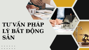 Tư Vấn Pháp Lý Bất Động Sản